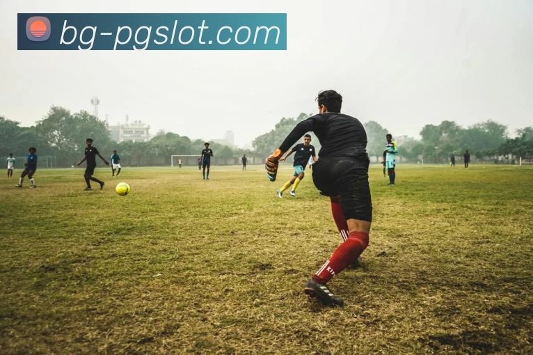 麻将胡了PG官网APP 封面图